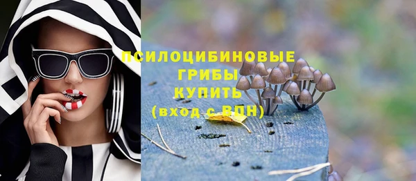 PSILOCYBIN Алексин