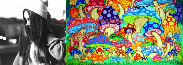 PSILOCYBIN Алексин